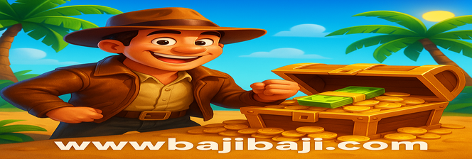 baji baji - ইনস্টলেশন নির্দেশিকা